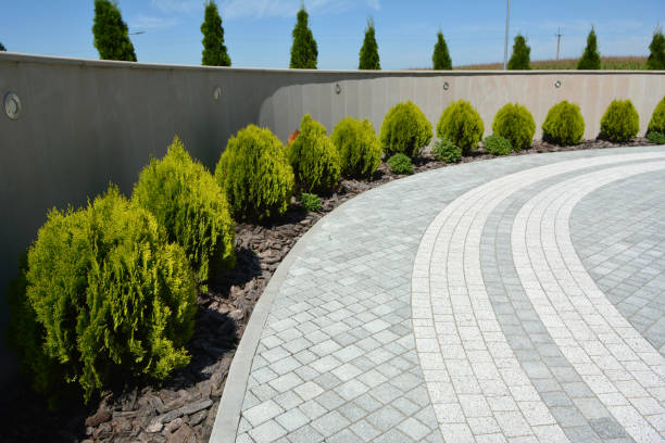 Reasons to Select Us for Your Driveway Paving Requirements in Marysville, CA
